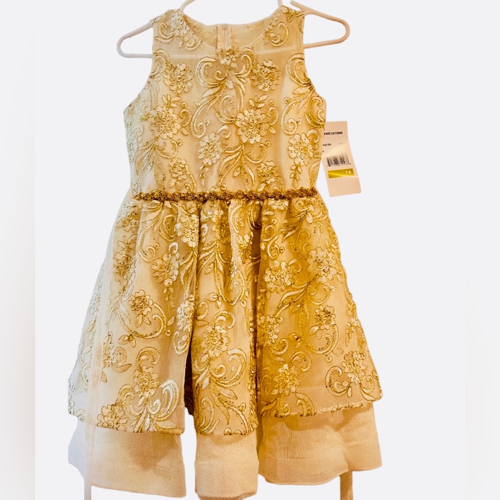 Rare Editions Big Girls 15 Sleeveless Dress
